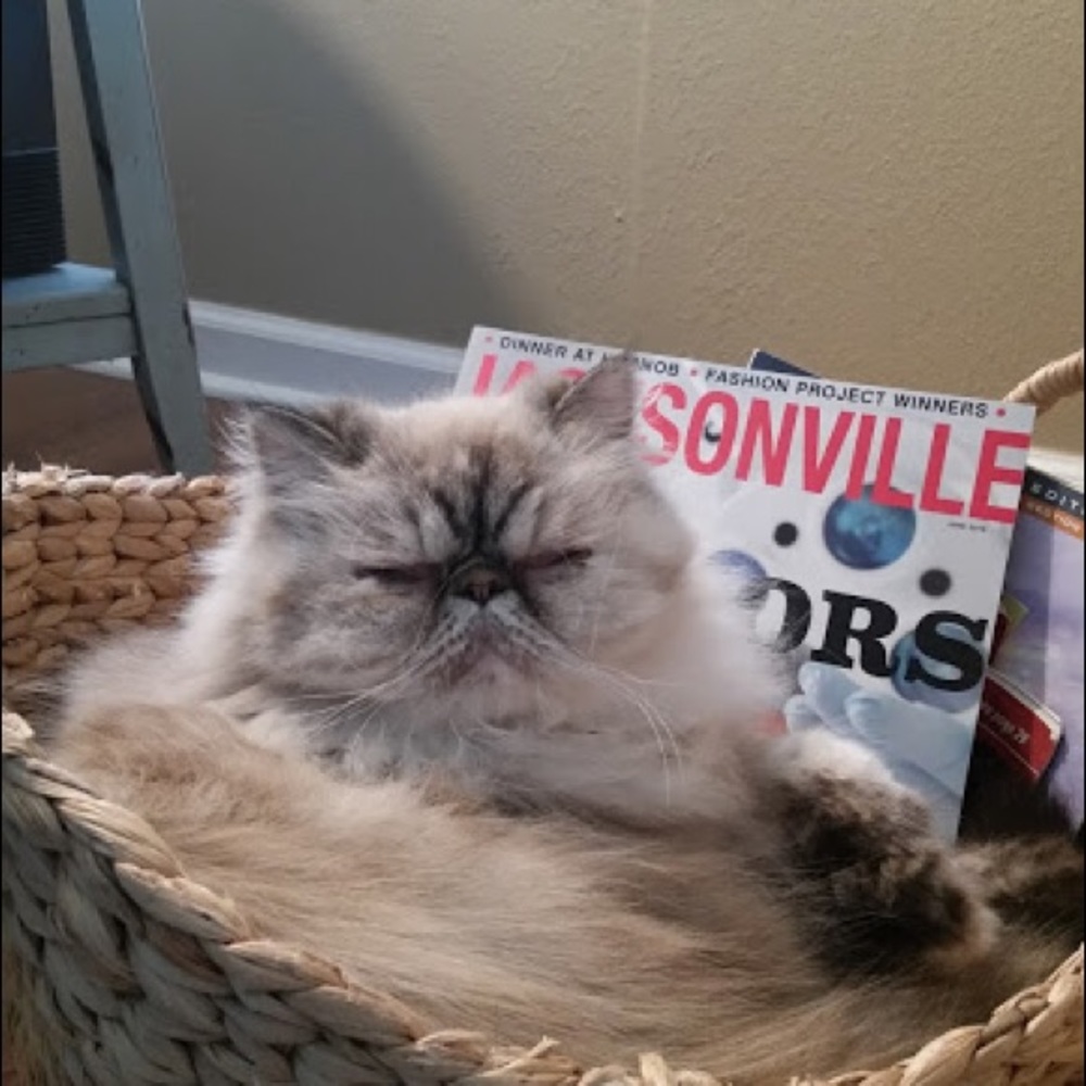 Meet your Posher, Nancy